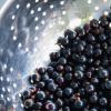 Blackcurrant jam: benefits and harms
